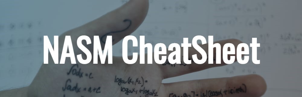 cheat nasm test online